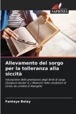 Allevamento del sorgo per la tolleranza alla siccità af Fantaye Belay