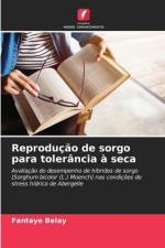 Reprodução de sorgo para tolerância à seca af Fantaye Belay