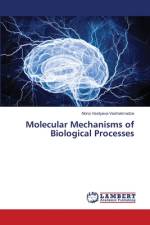 Molecular Mechanisms of Biological Processes af Nona Vasilyeva-Vashakmadze