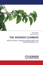 THE WONDER CLIMBERS af Mala Agarwal