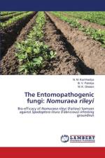 The Entomopathogenic fungi: Nomuraea rileyi af N. M. Kachhadiya