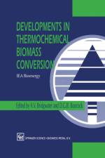 Developments in Thermochemical Biomass Conversion af D. G. B. Boocock