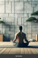 Basic Meditations For Beginners af Spiritwalker Shikata
