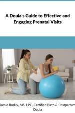 A Doula's Guide to Effective & Engaging Prenatal Visits af Jamie Bodily