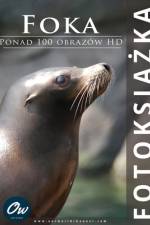 Foka af A Arelt
