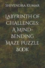 Labyrinth of Challenges af Shivendra Kumar
