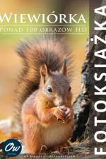 Wiewiórka af A Arelt