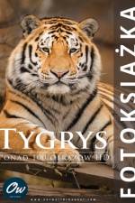 Tygrys af A Arelt