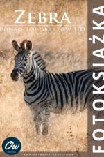 Zebra af A Arelt
