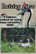 Raising Geese af Simple Whiz