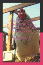 How did they raise chickens 2000 years ago and how can we do this today? af Linda Lewis