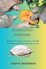 Elongated Tortoise af John W Henderson