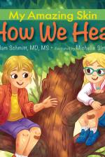 How We Heal af Adam Schmitt