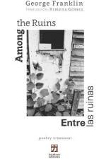 Among the Ruins/Entre las ruinas: Bilingual edition (English-Spanish) af Omar Villasana