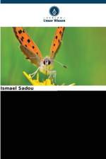 Schadinsekten (Lepidoptera) bei der Nerica-Reisproduktion 3 af Ismael Sadou