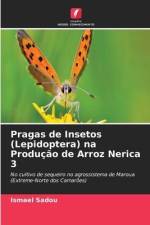 Pragas de Insetos (Lepidoptera) na Produção de Arroz Nerica 3 af Ismael Sadou