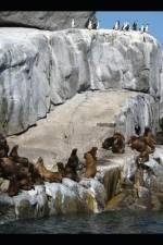 A Revolução dos Pinguins af Roger González Margalef