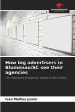 How big advertisers in Blumenau/SC see their agencies af Ivan Mellies Junior