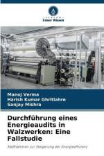 Durchführung eines Energieaudits in Walzwerken: Eine Fallstudie af Manoj Verma