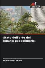 Stato dell'arte dei leganti geopolimerici af Mohammed Siline