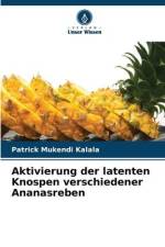 Aktivierung der latenten Knospen verschiedener Ananasreben af Patrick Mukendi Kalala