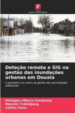 Deteção remota e SIG na gestão das inundações urbanas em Douala af Philippes Mbevo Fendoung