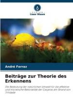 Beiträge zur Theorie des Erkennens af André Ferraz