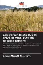 Les partenariats public privé comme outil de développement af Dolores Margoth Mise Cofre