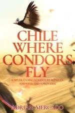 Chile Where Condors Fly af Adrian Mercado