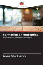 Formation en entreprise af Edward Rubio Guerrero