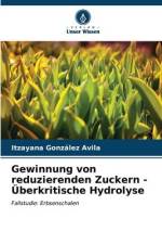 Gewinnung von reduzierenden Zuckern - Überkritische Hydrolyse af Itzayana González Avila