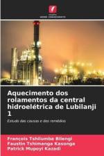 Aquecimento dos rolamentos da central hidroelétrica de Lubilanji 1 af François Tshilumba Bilengi