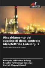 Riscaldamento dei cuscinetti della centrale idroelettrica Lubilanji 1 af François Tshilumba Bilengi