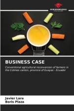 BUSINESS CASE af Javier Lara