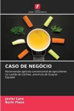 CASO DE NEGÓCIO af Javier Lara