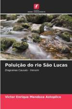 Poluição do rio São Lucas af Victor Enrique Mendoza Astopilco