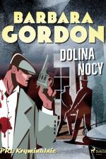 Dolina nocy
