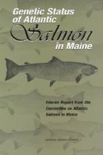 Genetic Status of Atlantic Salmon in Maine: Interim Report from the Committee on Atlantic Salmon in Maine af National Research Council