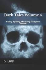 Dark Tales Volume 4: Scary, Spooky, Haunting Campfire Stories af Story Ninjas