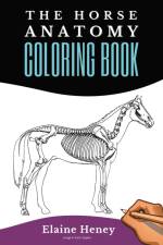 Horse Anatomy Coloring Book For Adults - Self Assessment Equine Coloring Workbook af Elaine Heney
