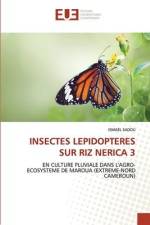 INSECTES LEPIDOPTERES SUR RIZ NERICA 3 af Ismael Sadou