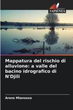 Mappatura del rischio di alluvione: a valle del bacino idrografico di N'Djili af Arens Miansosa