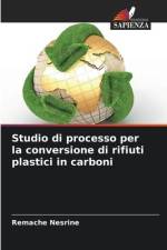 Studio di processo per la conversione di rifiuti plastici in carboni af Remache Nesrine