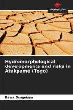 Hydromorphological developments and risks in Atakpamé (Togo) af Bawa Dangnisso
