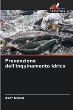 Prevenzione dell'inquinamento idrico af Aser Nzovu