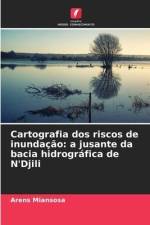 Cartografia dos riscos de inundação: a jusante da bacia hidrográfica de N'Djili af Arens Miansosa