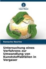 Untersuchung eines Verfahrens zur Umwandlung von Kunststoffabfällen in Vergaser af Remache Nesrine
