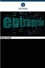 Methoden der Unternehmensbewertung: Der algerische Fall af Amel Saidi