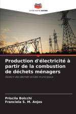 Production d'électricité à partir de la combustion de déchets ménagers af Priscila Bolcchi