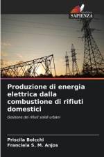 Produzione di energia elettrica dalla combustione di rifiuti domestici af Priscila Bolcchi